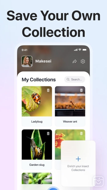 تصاویر Picture Insect: Bug Identifier ++