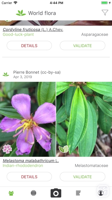 تصاویر PlantNet|گیاه شناسی