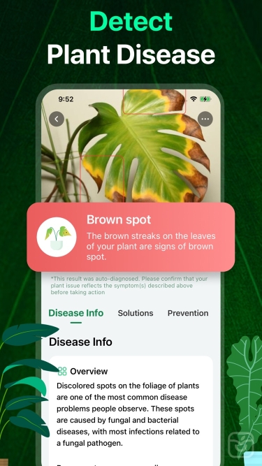 تصاویر PlantAI: Identifier & Diagnose ++