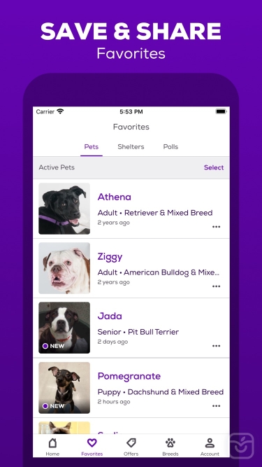 تصاویر Petfinder - Adopt a Pet