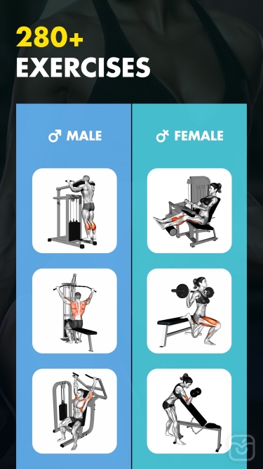 تصاویر Gym Workout My Fitness Planner ++