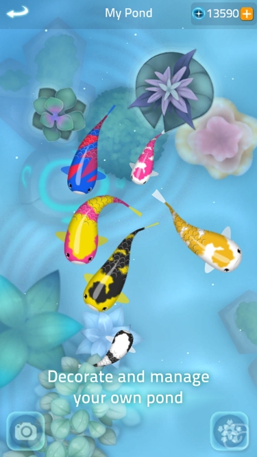 تصاویر Zen Koi 2