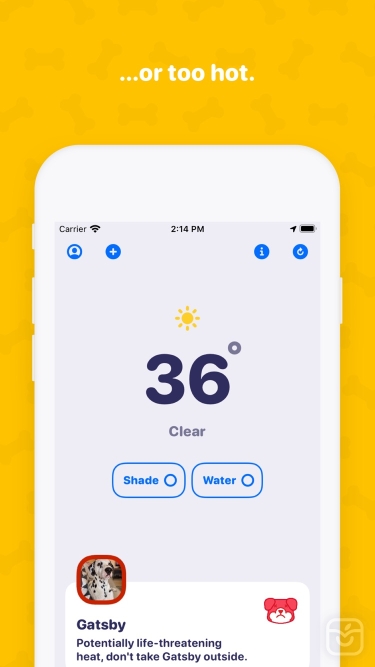 تصاویر Walkies Weather