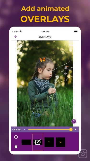 تصاویر Zoetropic - Photo in motion