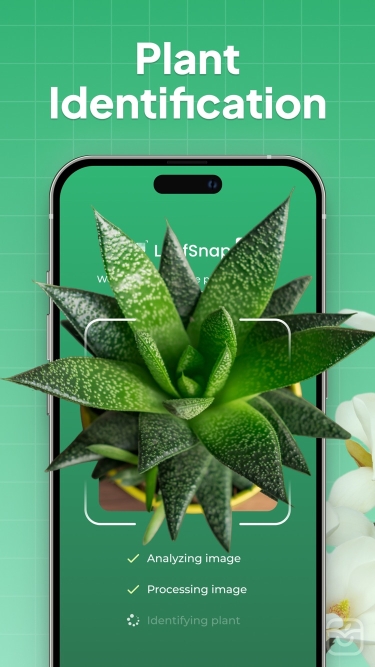 تصاویر LeafSnap-Plant Identification++