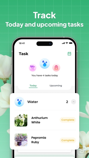 تصاویر LeafSnap-Plant Identification++