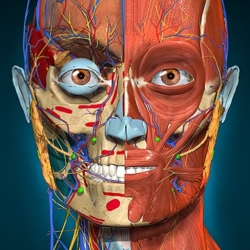 لوگو Anatomy Learning - 3D Anatomy ++