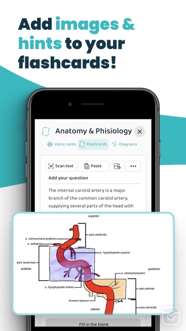 تصاویر AI Study Flashcards: Voovo ++