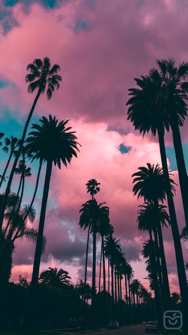 دانلود اپلیکیشن VIBE Aesthetic wallpaper 4K برای آیفون