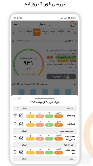 تصاویر پلنر همیار