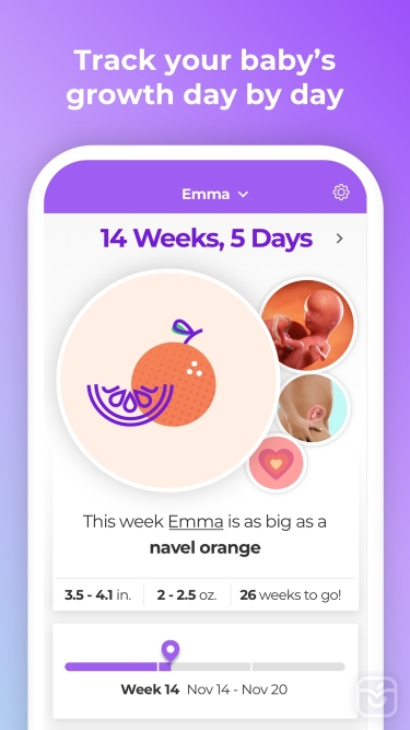 تصاویر Pregnancy & Baby Tracker WTE