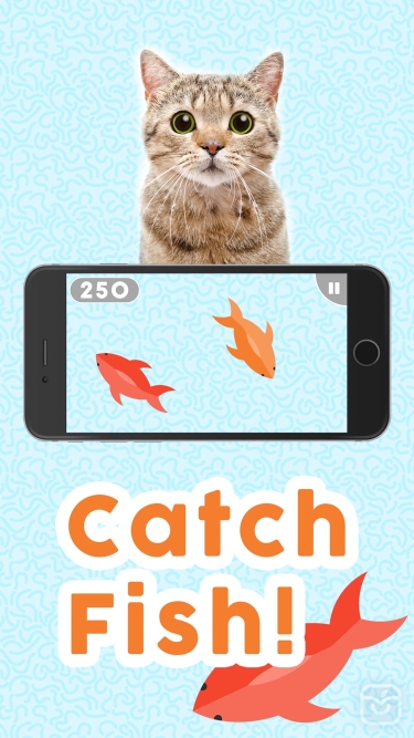 تصاویر Games for Cats!