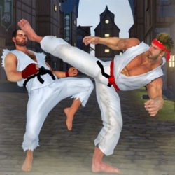 لوگو Karate Kings Fight 21