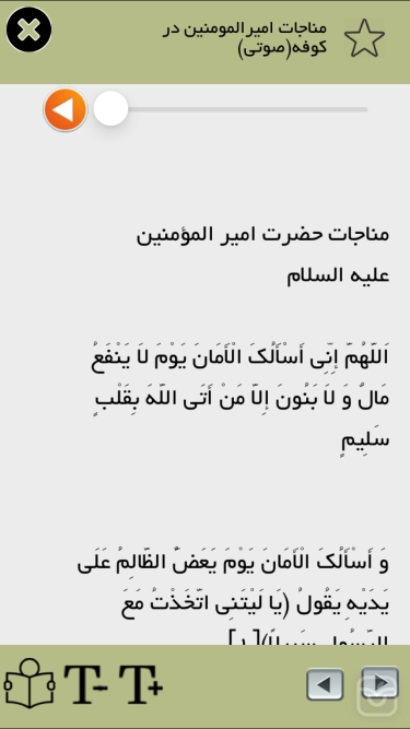 تصاویر مناجات اميرالمومنين