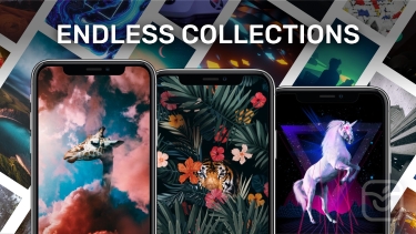 تصاویر Walli Wallpaper ++ | آنلاک‌شده