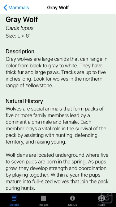 تصاویر Yellowstone NP Field Guide
