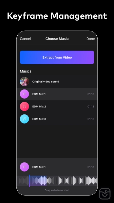 تصاویر Ivy Professional Video Editor ++