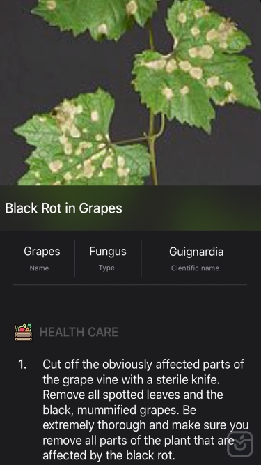 تصاویر Plants Diseases Identifier