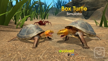 تصاویر Box Turtle Simulator