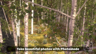 تصاویر Wilderless