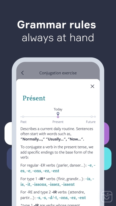تصاویر Lingvist: Learn Languages Fast ++