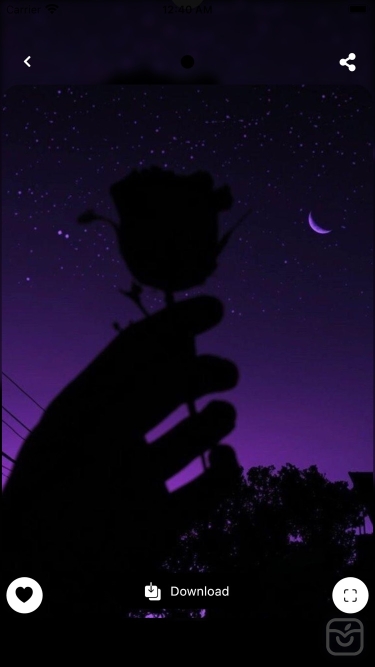 تصاویر Black Aesthetic Wallpaper HD !