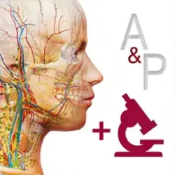 لوگو Anatomy & Physiology