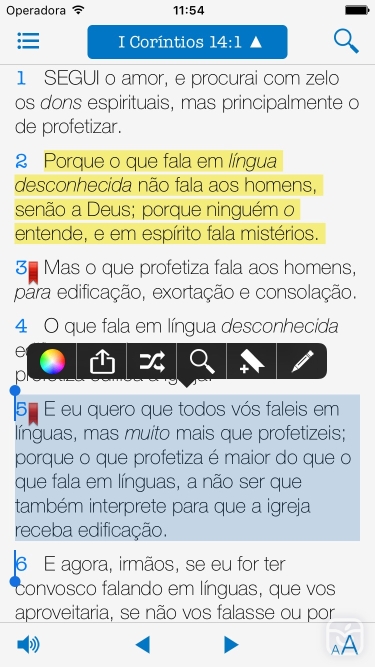 تصاویر ACF - Bíblia de Estudo Fiel