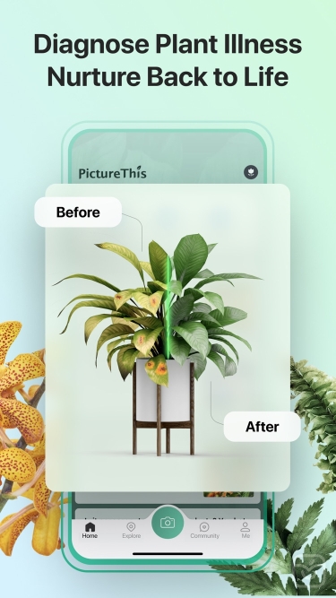 تصاویر PictureThis ++ | آنلاک‌شده