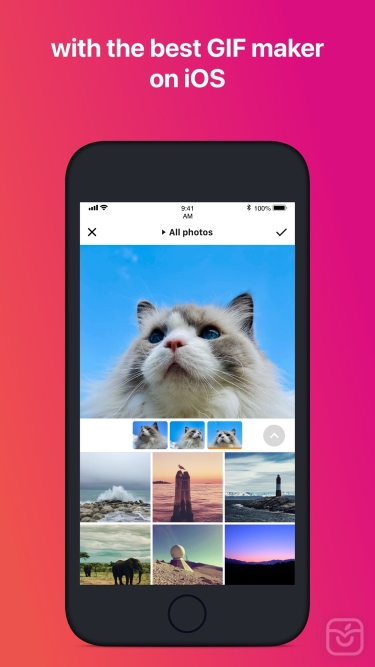 تصاویر Giftr - GIF Maker ++