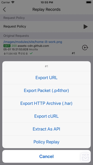 تصاویر Anubis - API Debug & Inspect