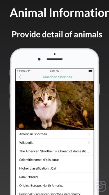تصاویر ianimal - animal Identifier ++
