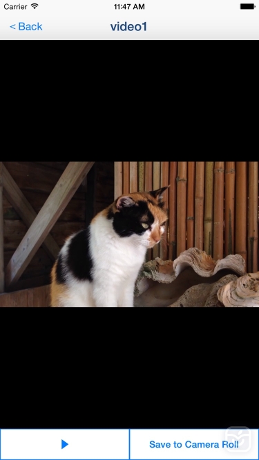 تصاویر Video 2 CameraRoll  Home Video