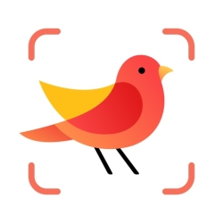 لوگو Picture Bird ++
