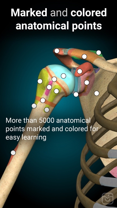 تصاویر Anatomy Learning - 3D Anatomy ++