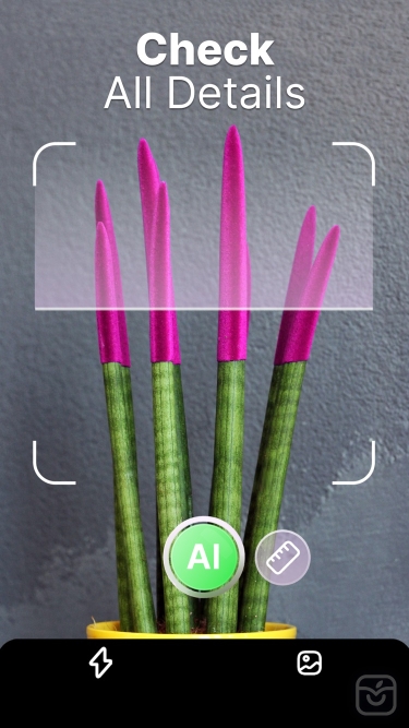 تصاویر Plant Pic Identifier ++