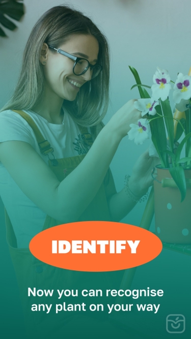 تصاویر Plant identifier flower & tree