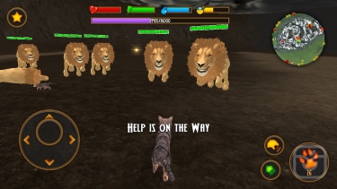 تصاویر Clan Of Cats