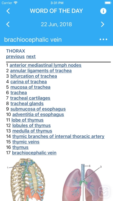 تصاویر Pocket Atlas of Anatomy