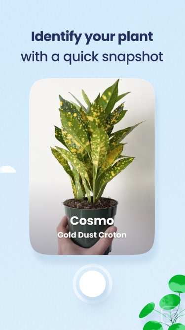 تصاویر Greg: Easy Plant Care