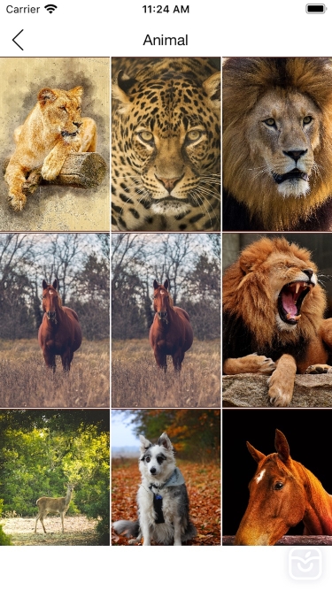 تصاویر 2022 wallpapers!
