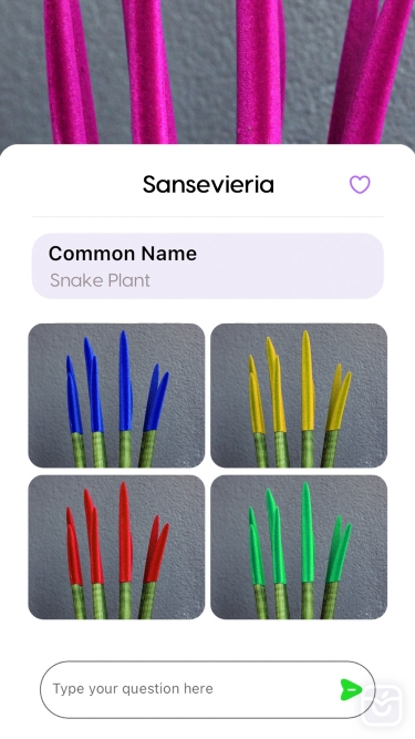 تصاویر Plant Pic Identifier ++