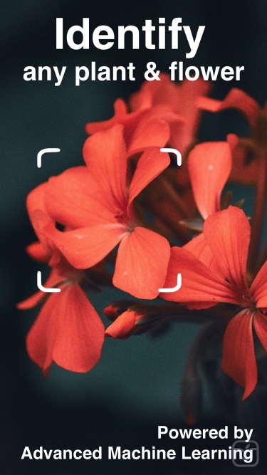 تصاویر Plant Identifier - Scan Flower