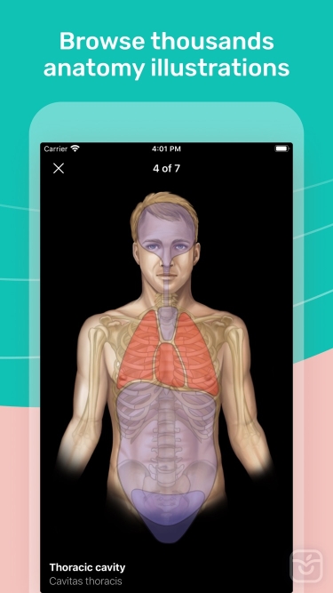 تصاویر Easy Anatomy 3D ++