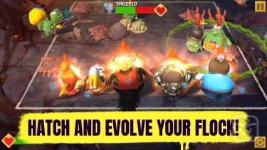 تصاویر Angry Birds Evolution