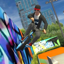 لوگو BMX FE3D 2