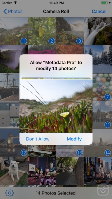 تصاویر Metadata Pro