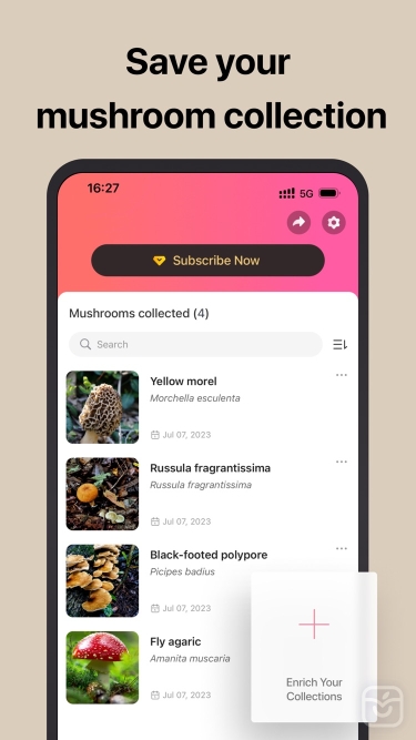 تصاویر Picture Mushroom: Fungi finder ++