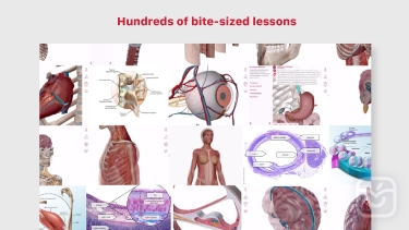 تصاویر Anatomy & Physiology