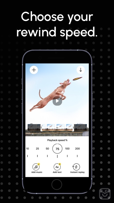 تصاویر Reverse Video: Play Backwards